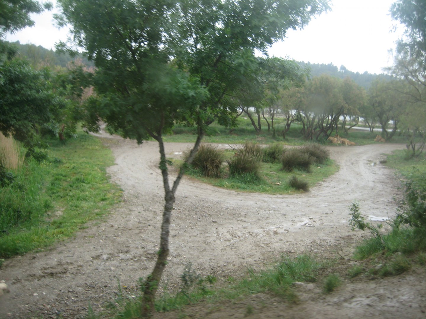 Reserve Africaine de Sigean - The lion park