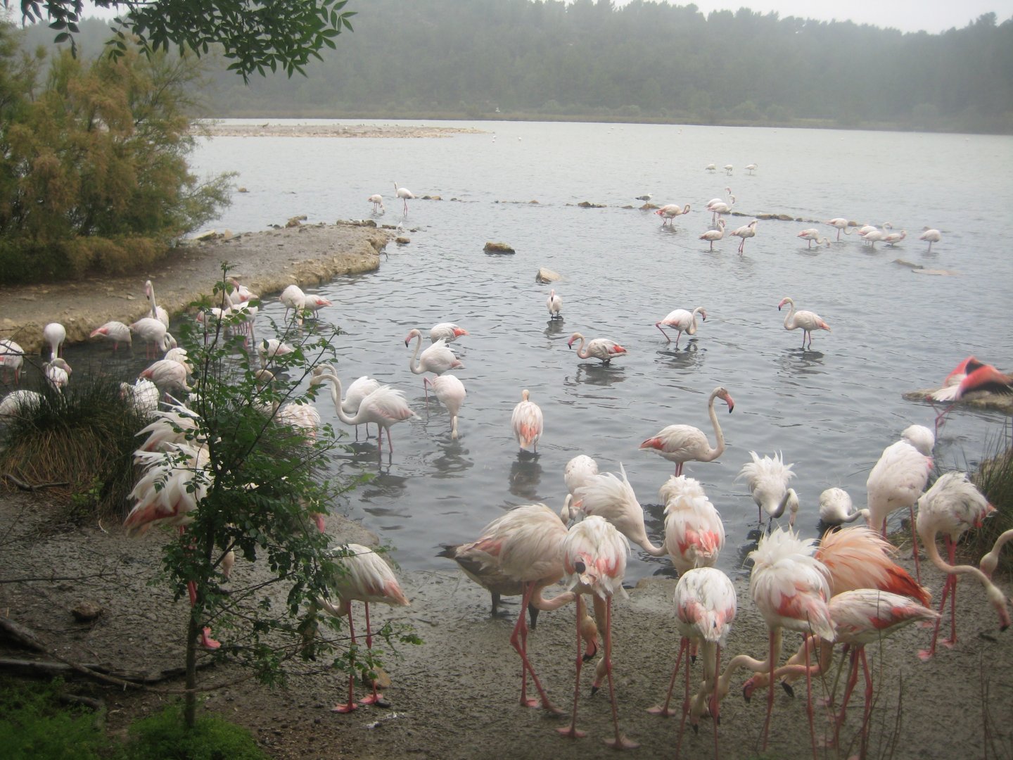 Reserve Africaine de Sigean - The saline lake