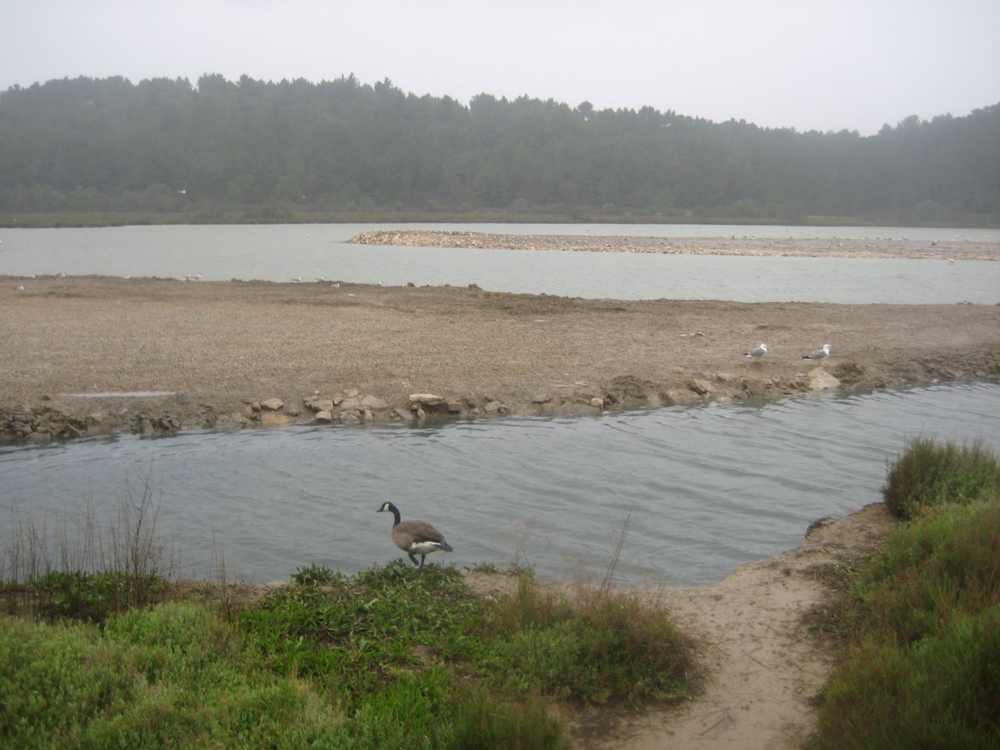 Reserve Africaine de Sigean - The saline lake