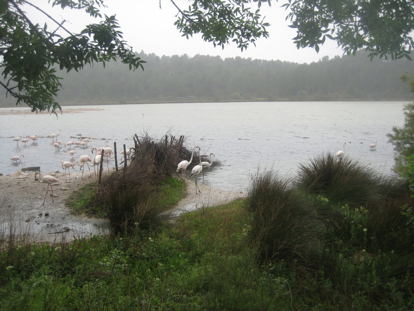 Reserve Africaine de Sigean - The saline lake