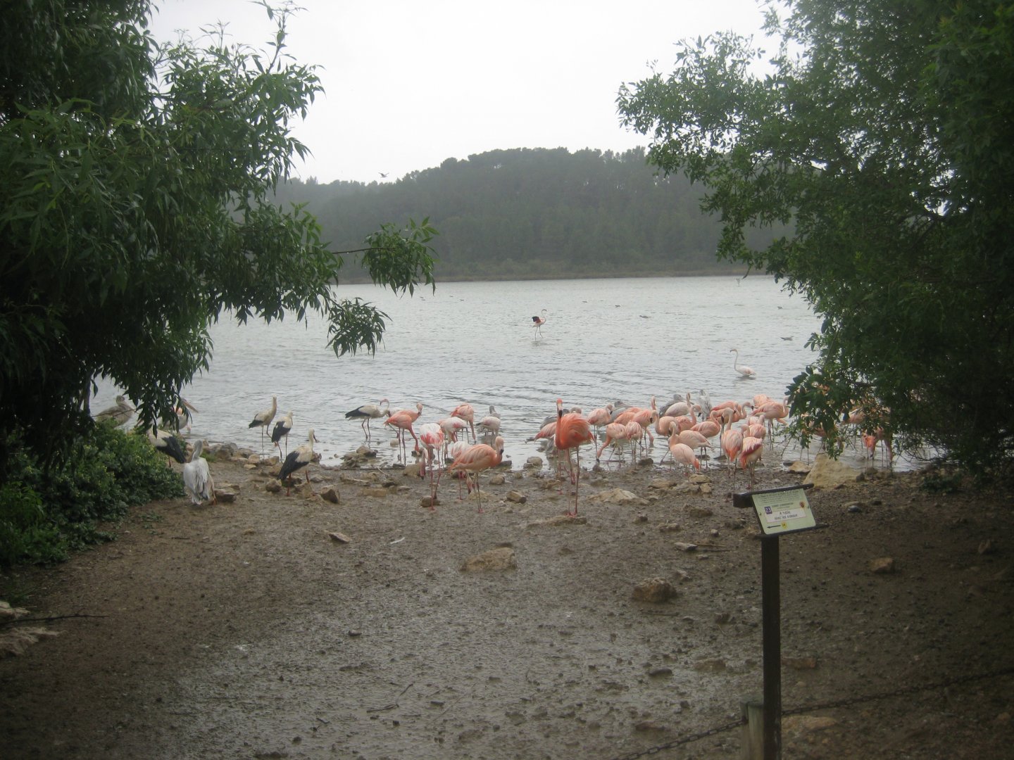 Reserve Africaine de Sigean - The saline lake