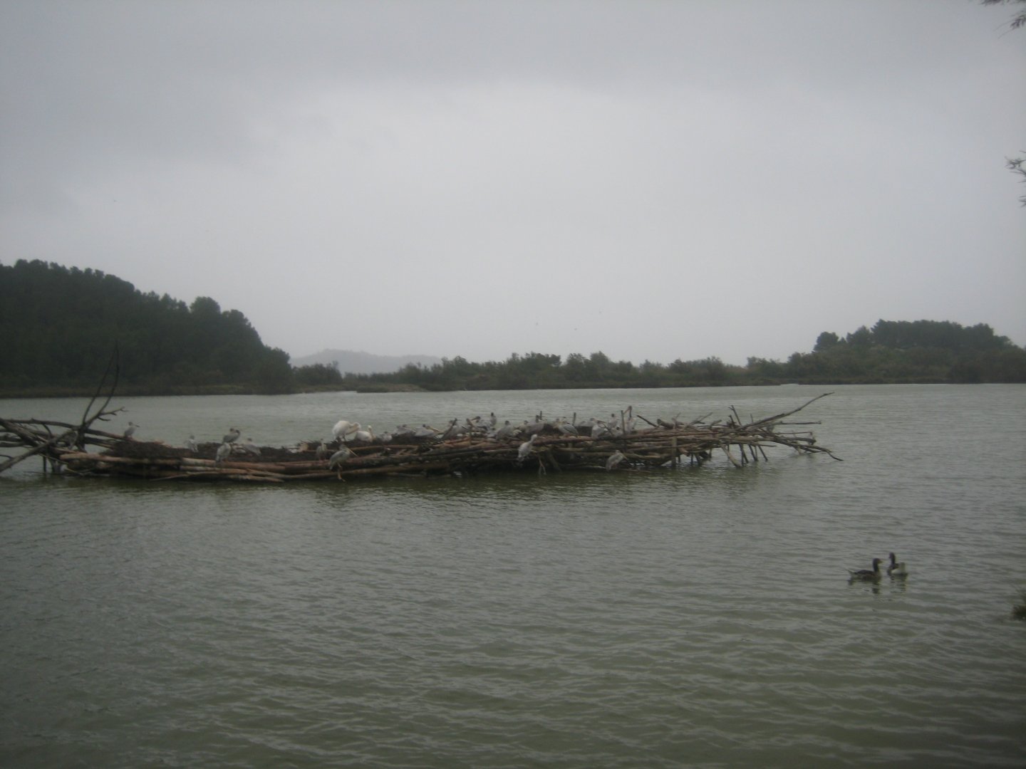 Reserve Africaine de Sigean - The saline lake