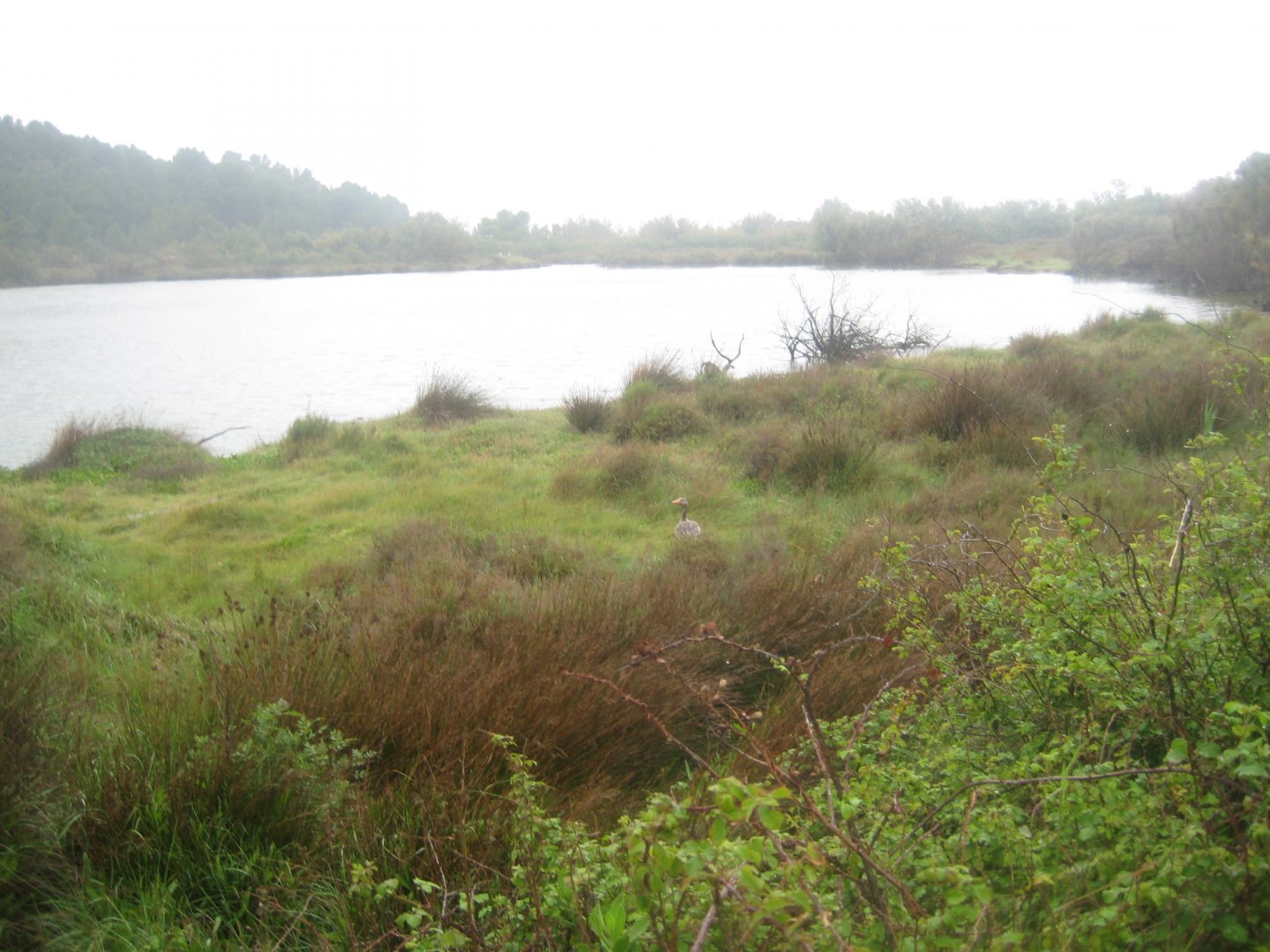 Reserve Africaine de Sigean - The saline lake