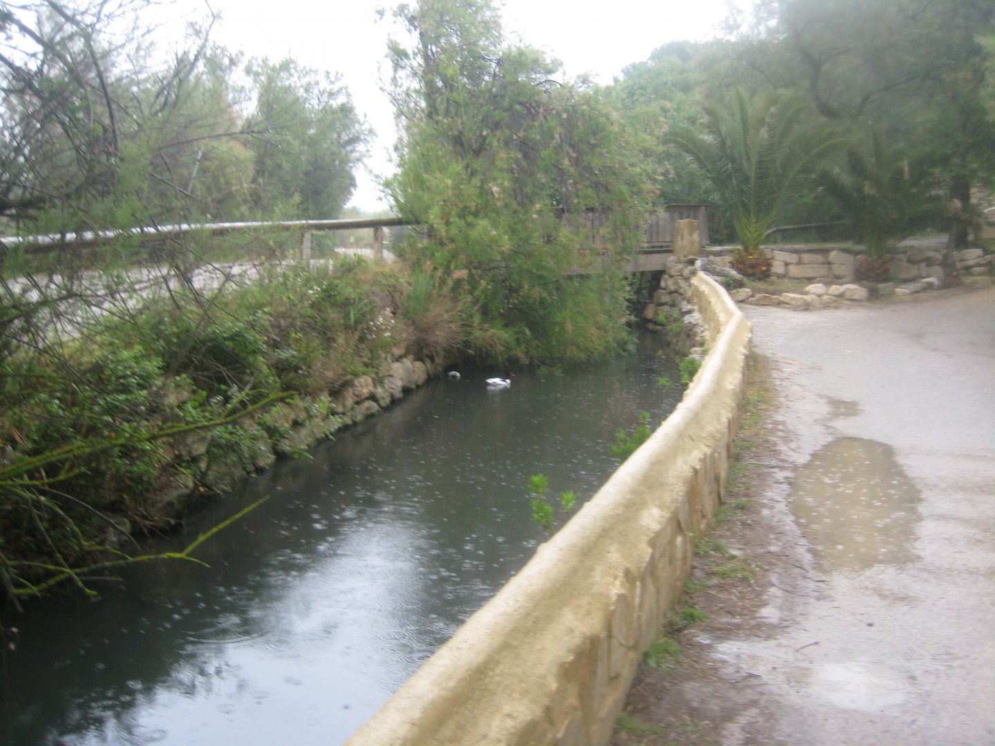 Reserve Africaine de Sigean - The stream