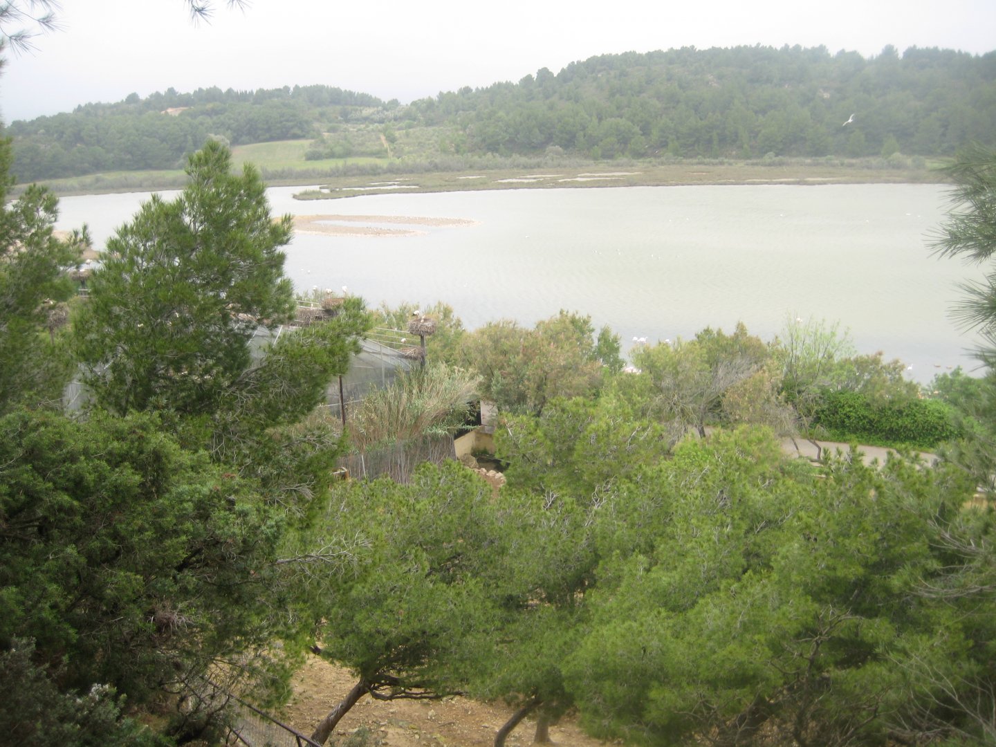 Reserve Africaine de Sigean - View from upper part of the zoo