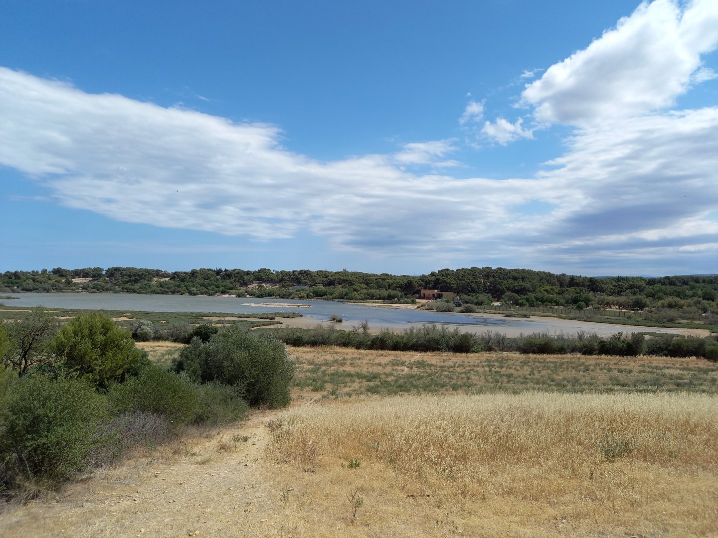 Réserve Africaine de Sigean - View towards the park from outside