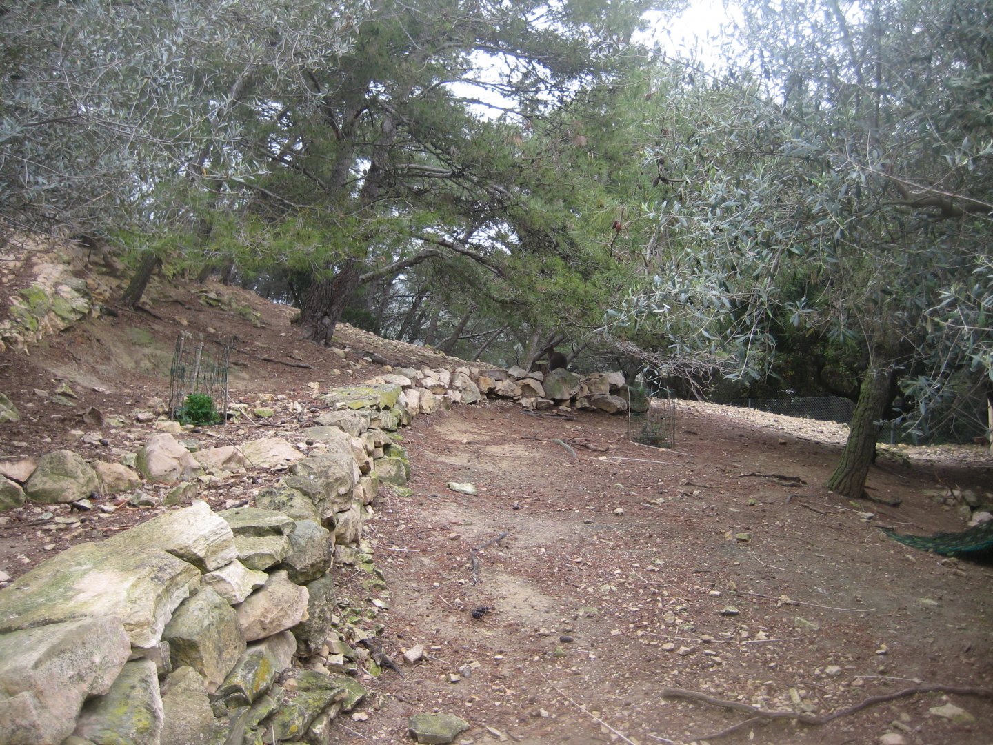 Reserve Africaine de Sigean - Wallaby exhibit