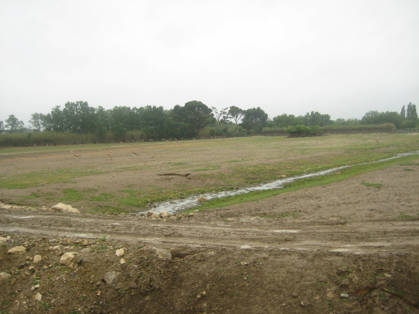 Reserve Africaine de Sigean - Zoo savanna