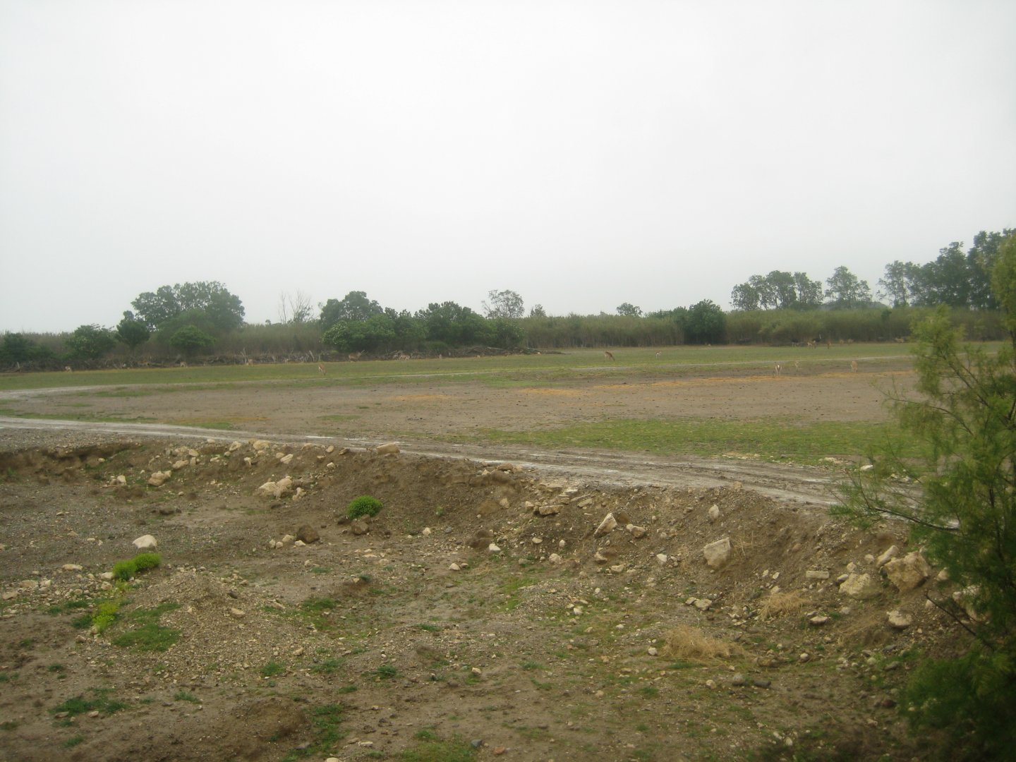 Reserve Africaine de Sigean - Zoo savanna