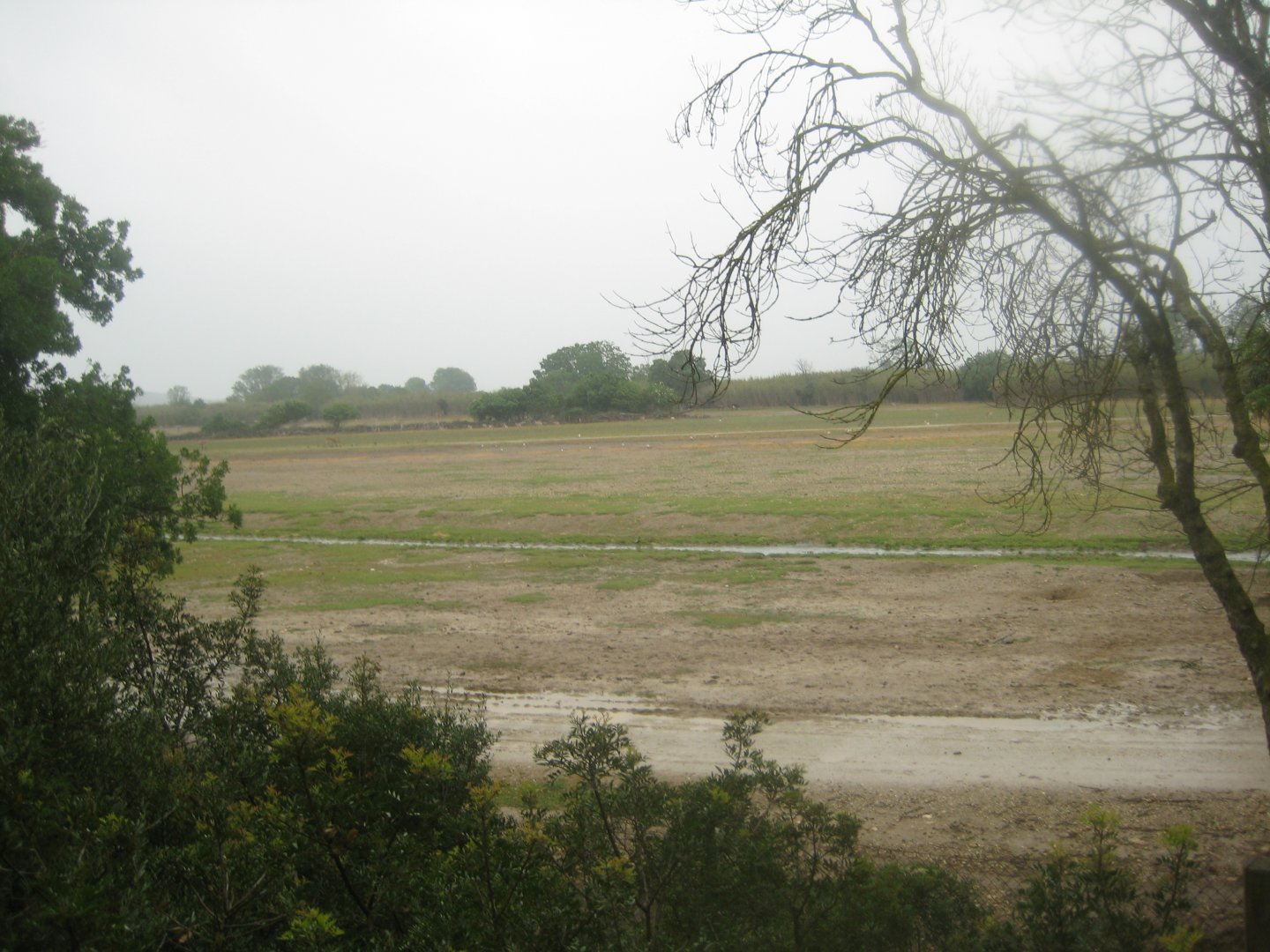 Reserve Africaine de Sigean - Zoo savanna