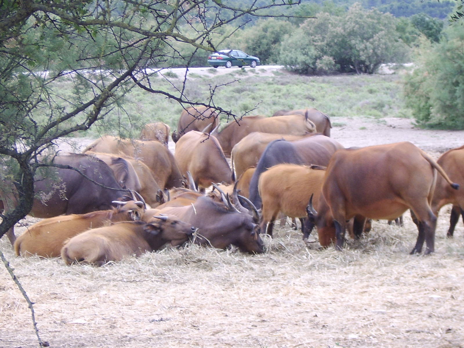 Reserve Africaine Sigean Southern France