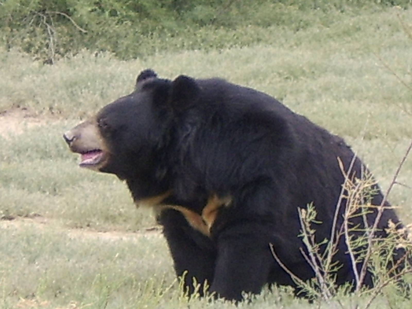 Reserve Africaine Sigean Southern France