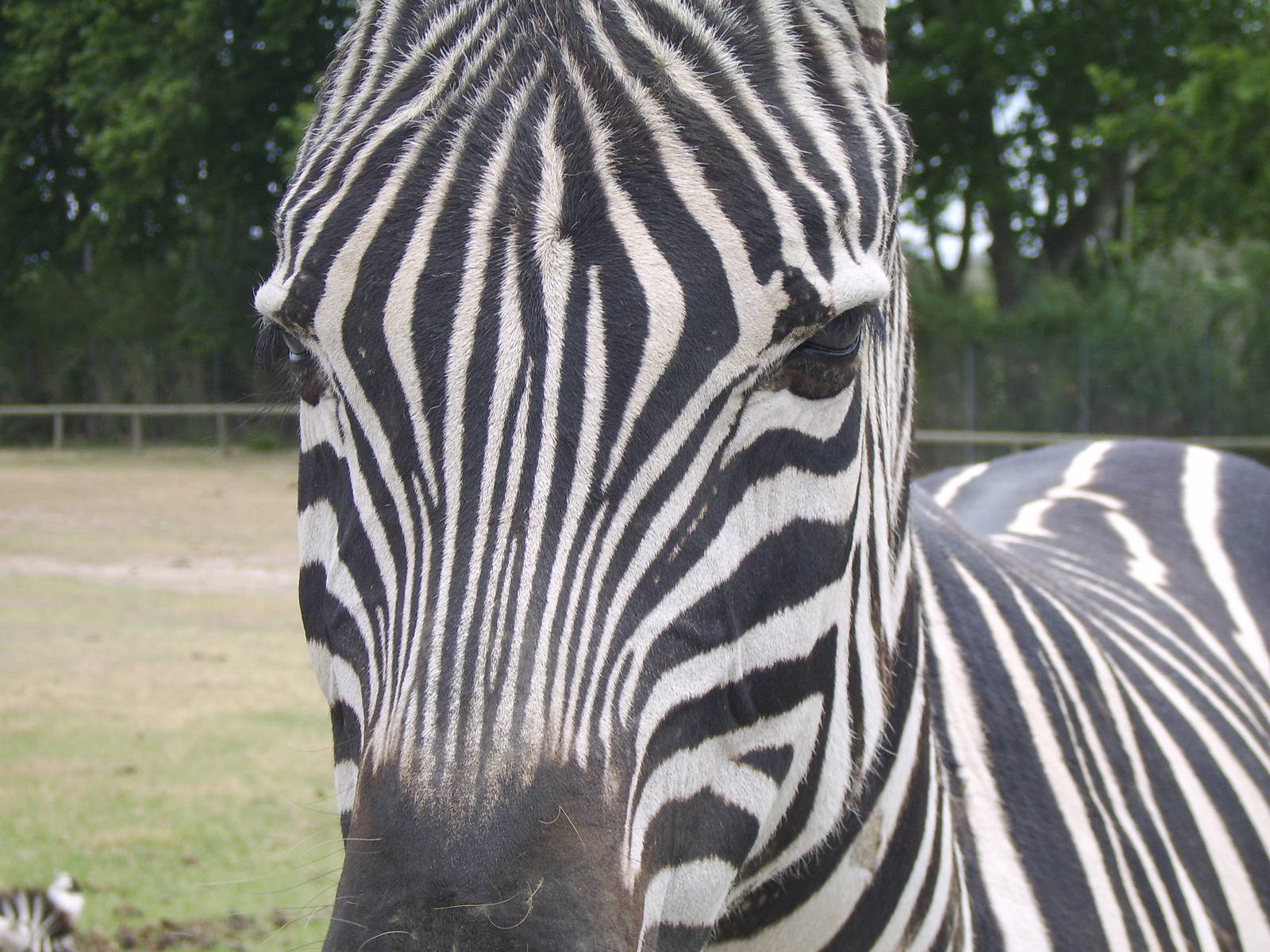 Reserve Africaine Sigean Southern France