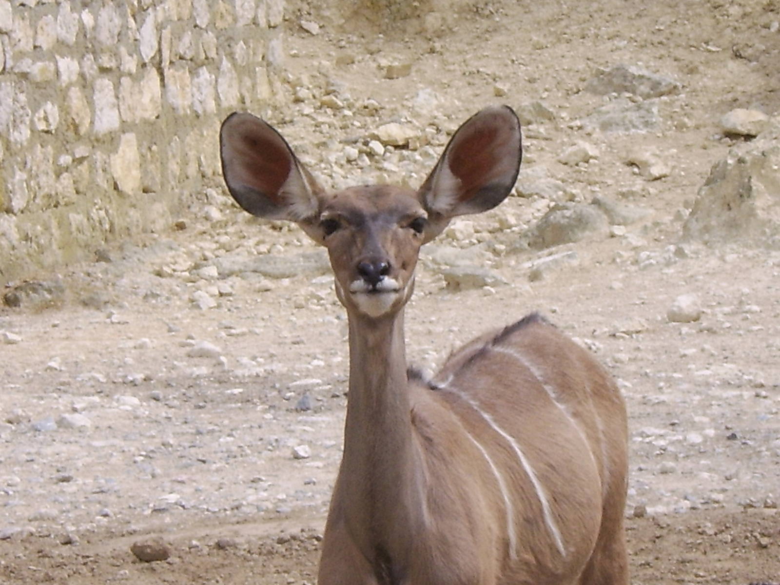 Reserve Africaine Sigean Southern France
