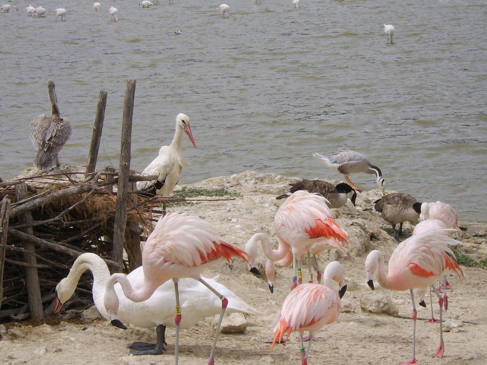 Reserve Africaine Sigean Southern France