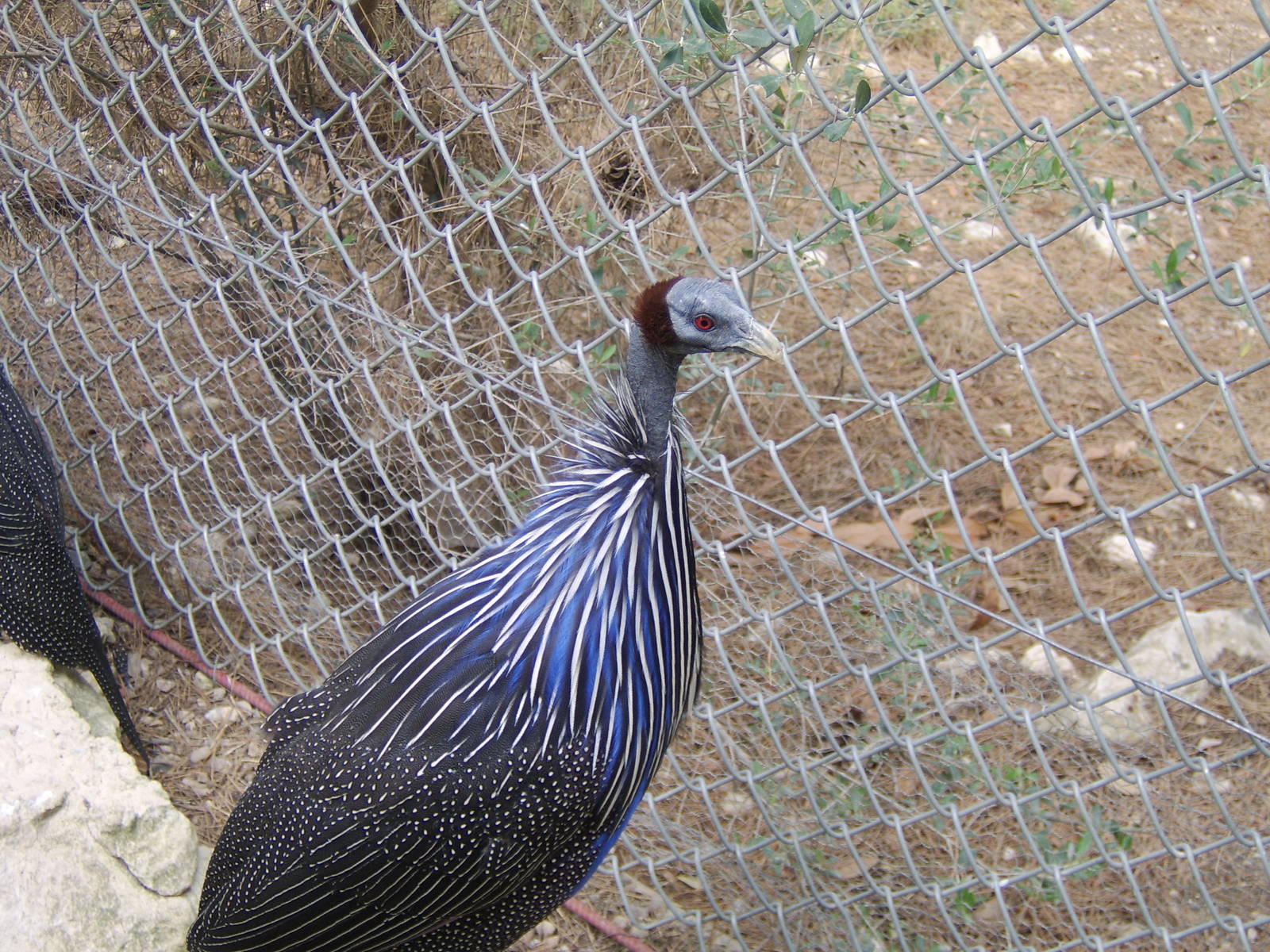 Reserve Africaine Sigean Southern France