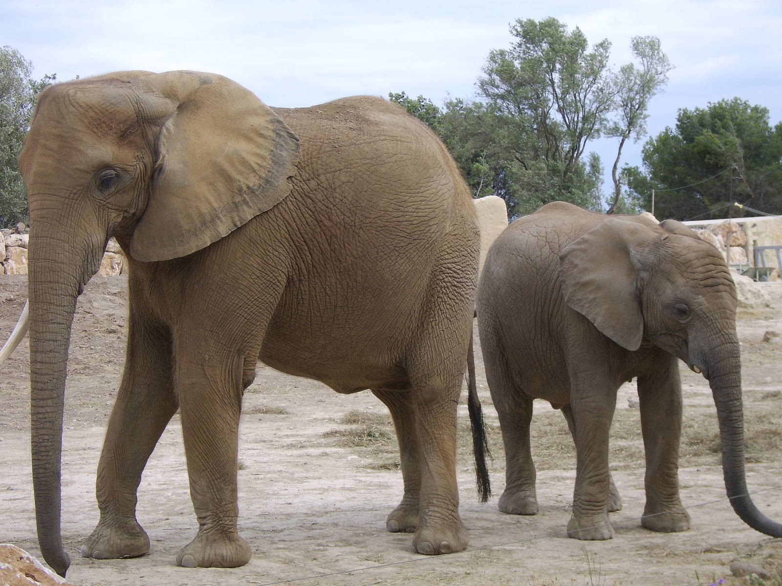 Reserve Africaine Sigean Southern France