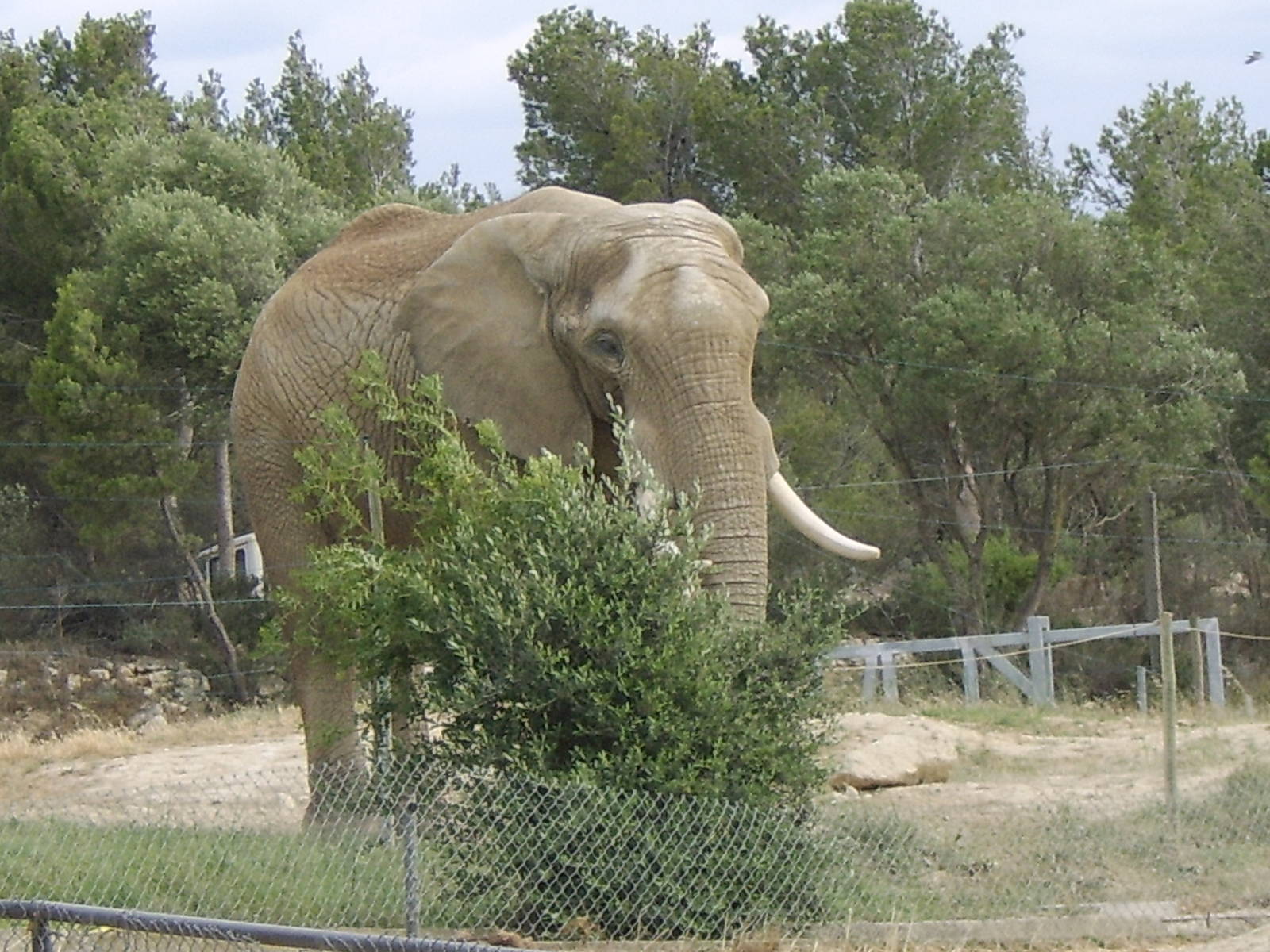 Reserve Africaine Sigean Southern France