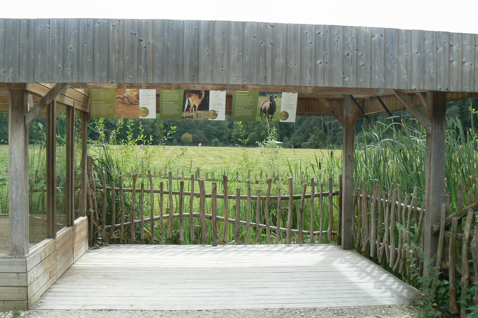Réserve de la Haute-Touche - African spurred tortoise and african plain viewing point