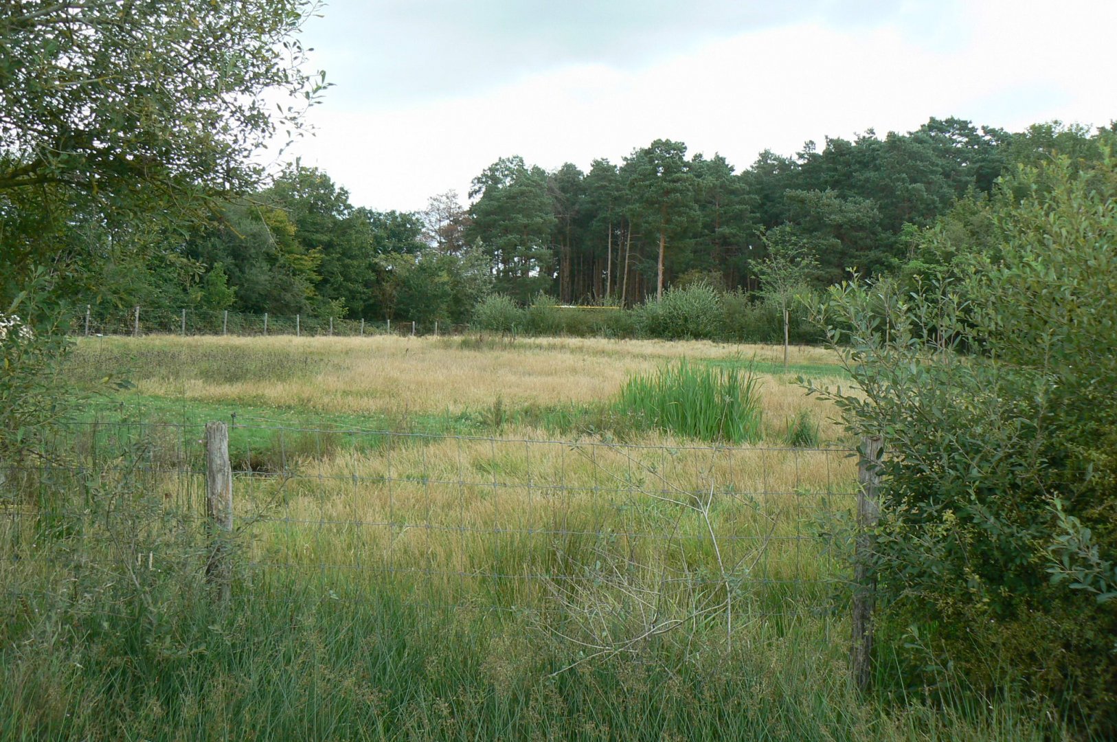 Réserve de la Haute-Touche - Future red river hogs enclosure