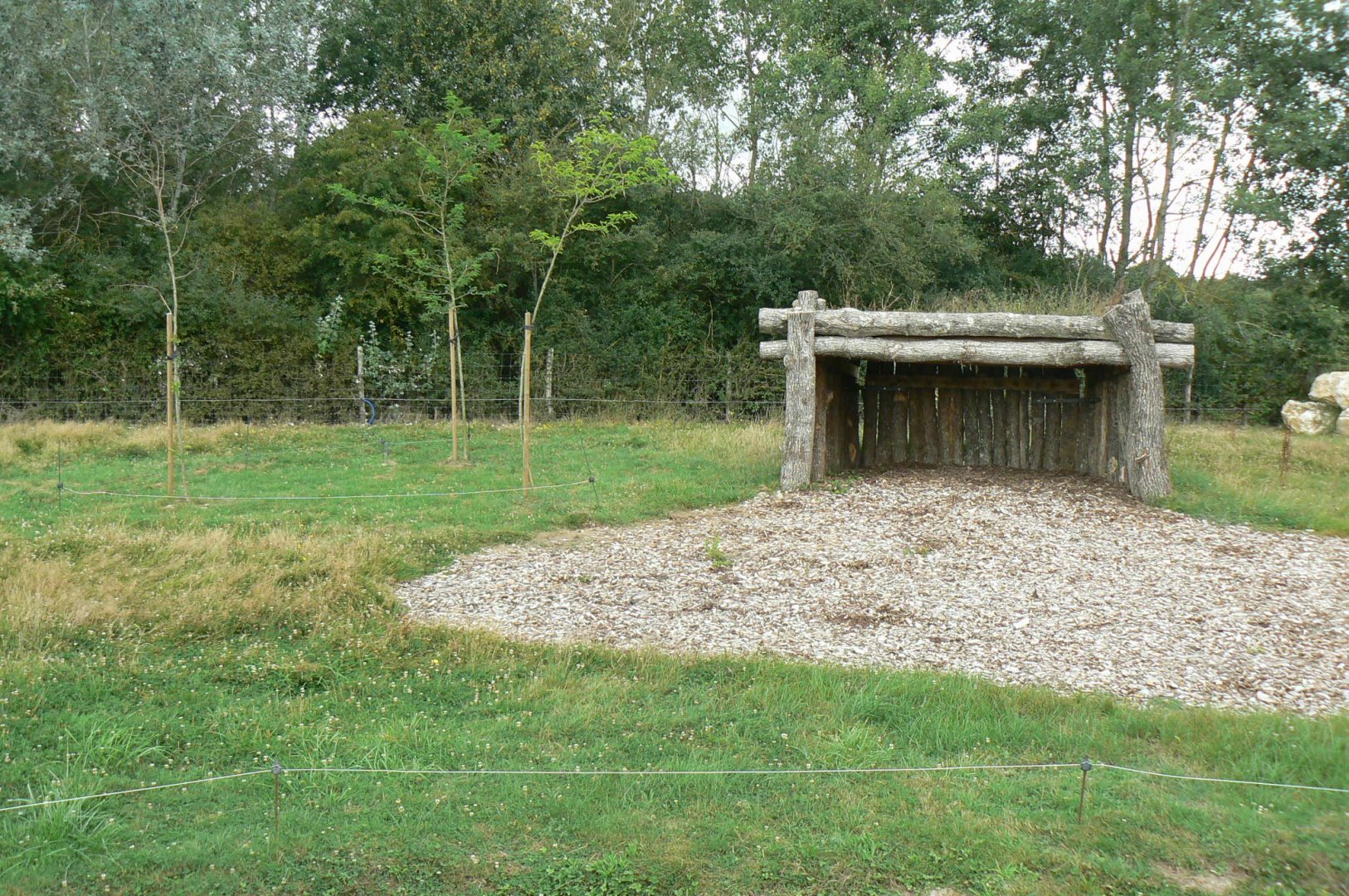 Réserve de la Haute-Touche - Future red river hogs enclosure