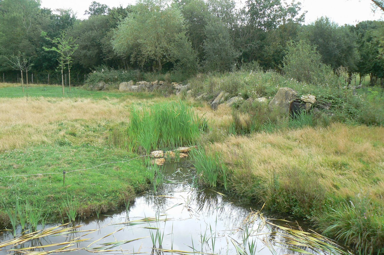Réserve de la Haute-Touche - Future red river hogs enclosure