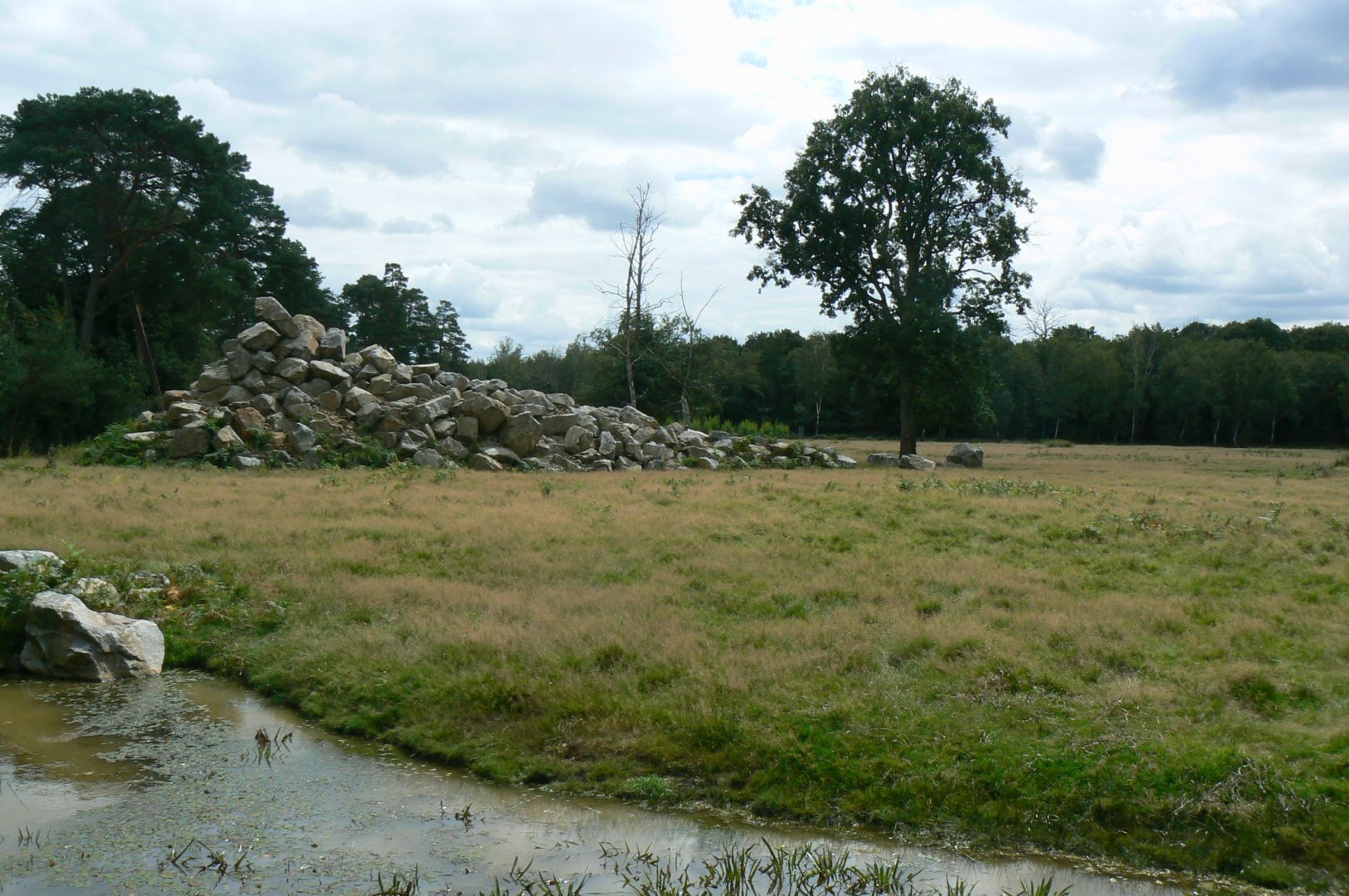 Réserve de la Haute-Touche - Mishmi takins and markhors 2 hectares enclosure