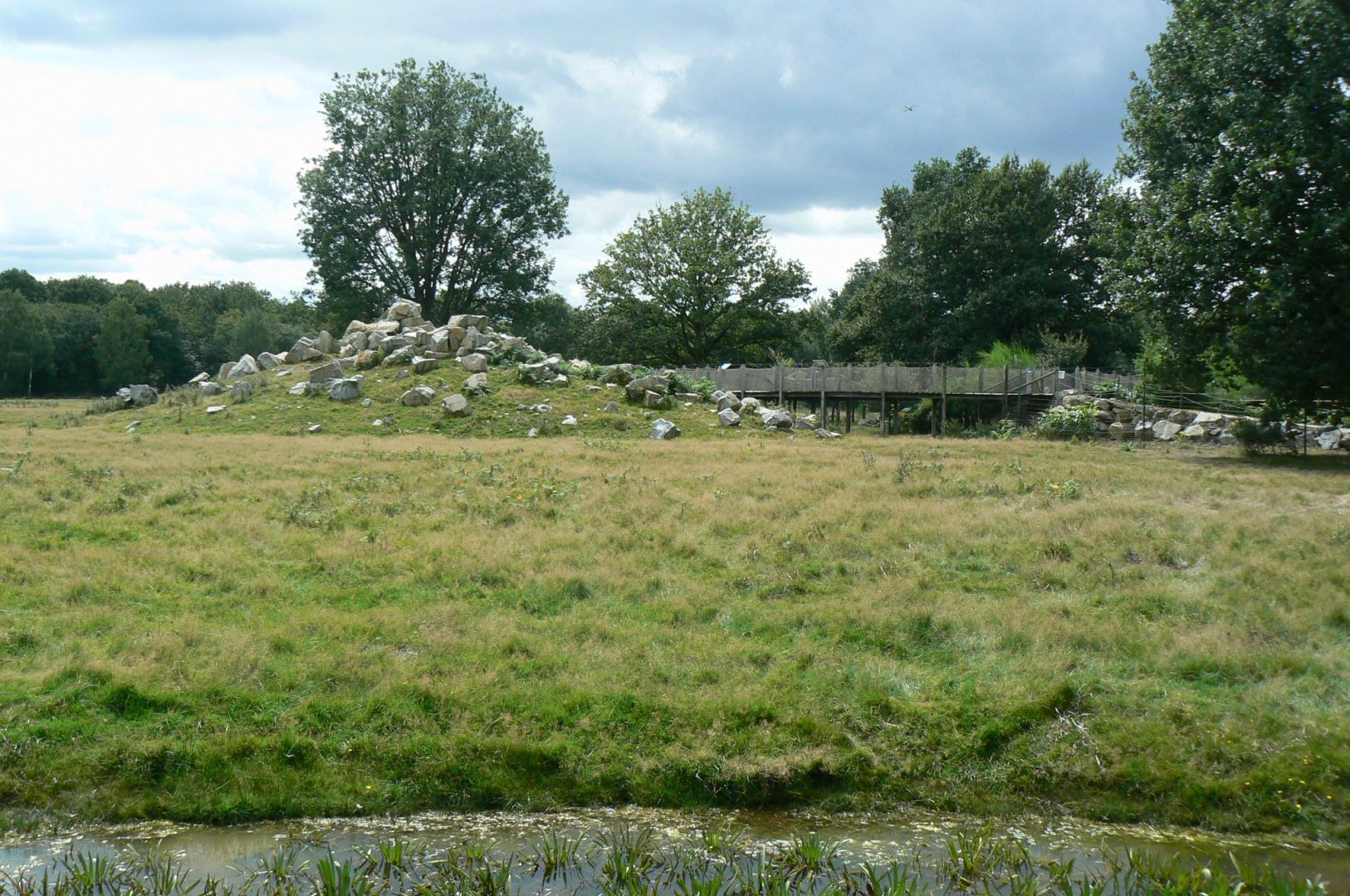 Réserve de la Haute-Touche - Mishmi takins and markhors 2 hectares enclosure