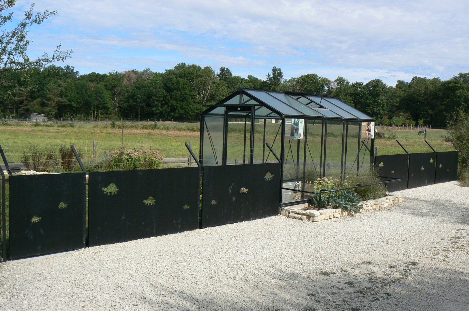 Réserve de la Haute-Touche - Turkish spur-thighed tortoises and Hermann's tortoises exhibit