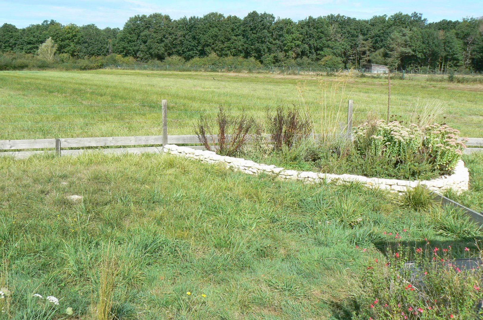 Réserve de la Haute-Touche - Turkish spur-thighed tortoises and Hermann's tortoises exhibit