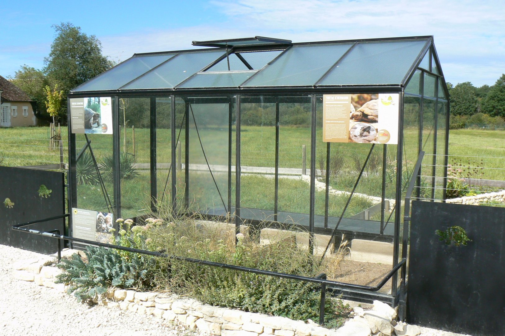 Réserve de la Haute-Touche - Turkish spur-thighed tortoises and Hermann's tortoises exhibit