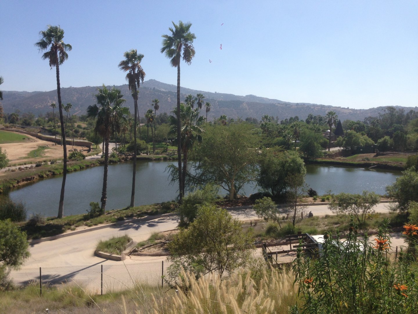 Resevoir - View From Watering Hole