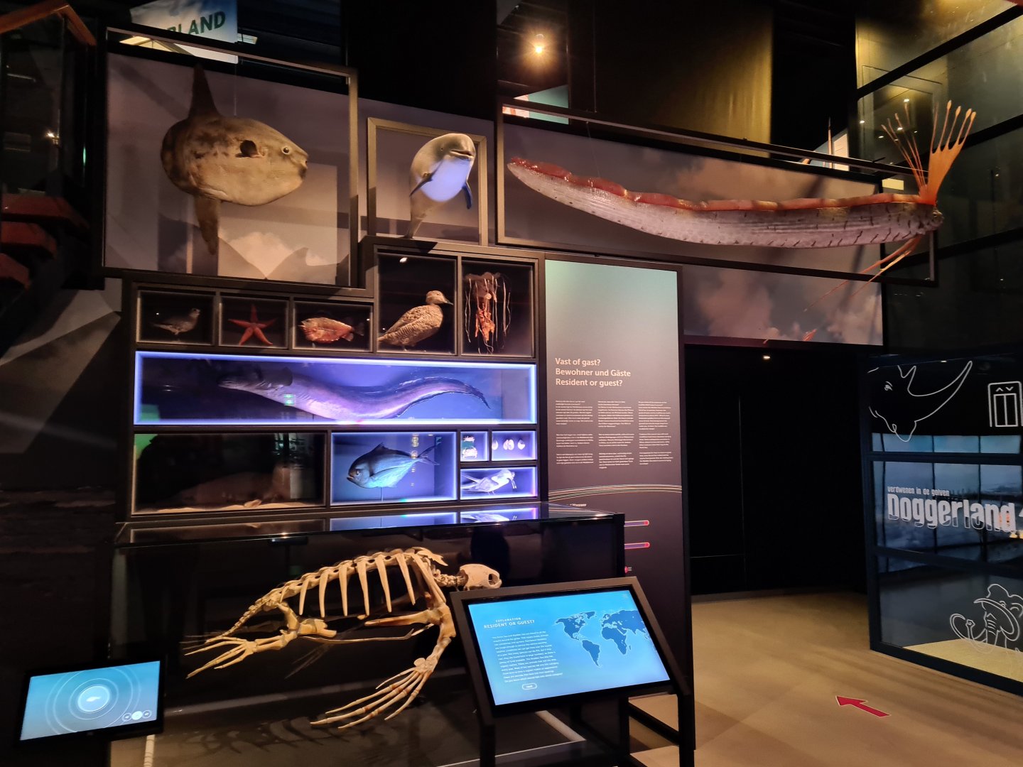 'Resident, Guest or Vagrant?" Interactive quiz display in Wadden room