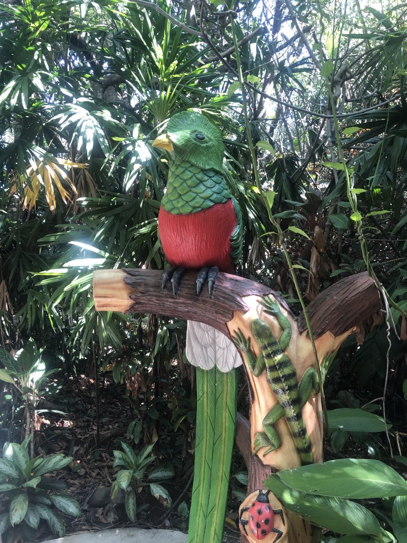 Resplendent Quetzal Model