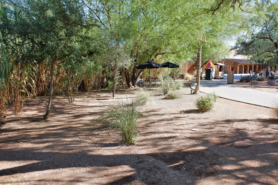 rest area at elephant exhibit