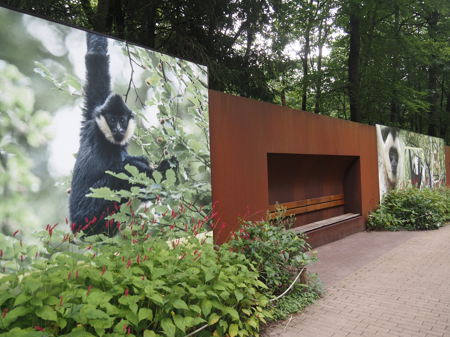 Rest area near the Northern white-cheeked gibbon island, 2024-08-18