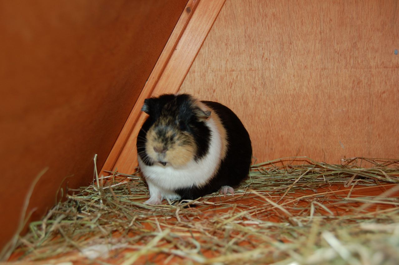 Rest In Peace Florence