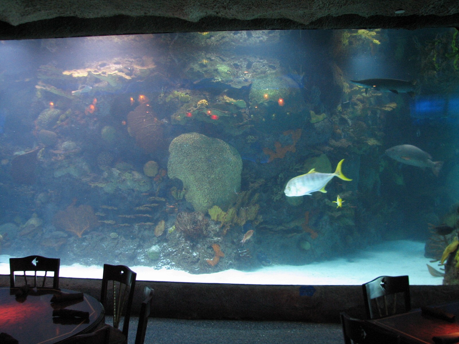 Restaurant - 150,000 Gallon Tank