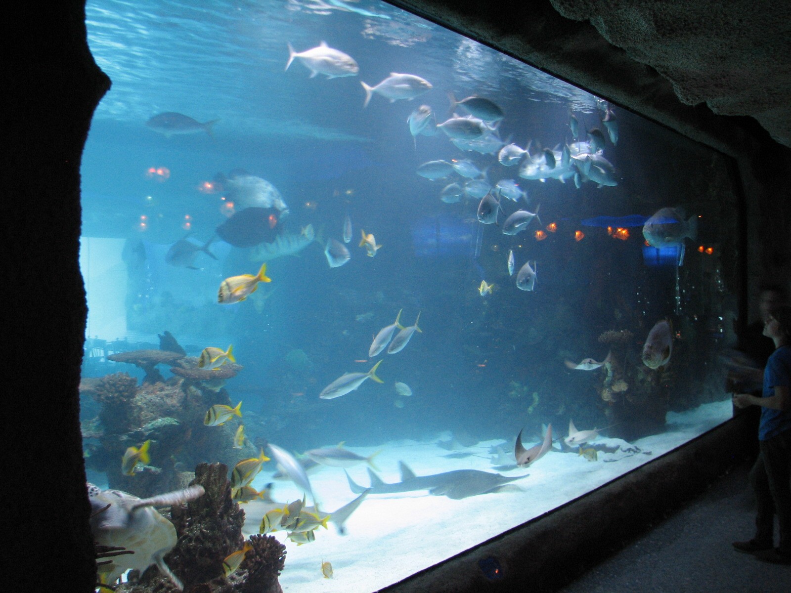 Restaurant - 150,000 Gallon Tank