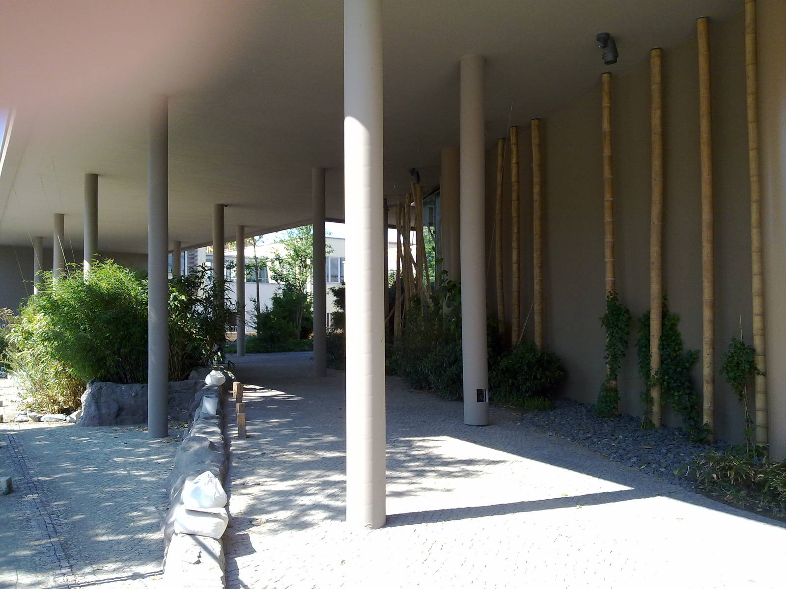 Restaurant and event entrance, Gondwanaland, June 2011