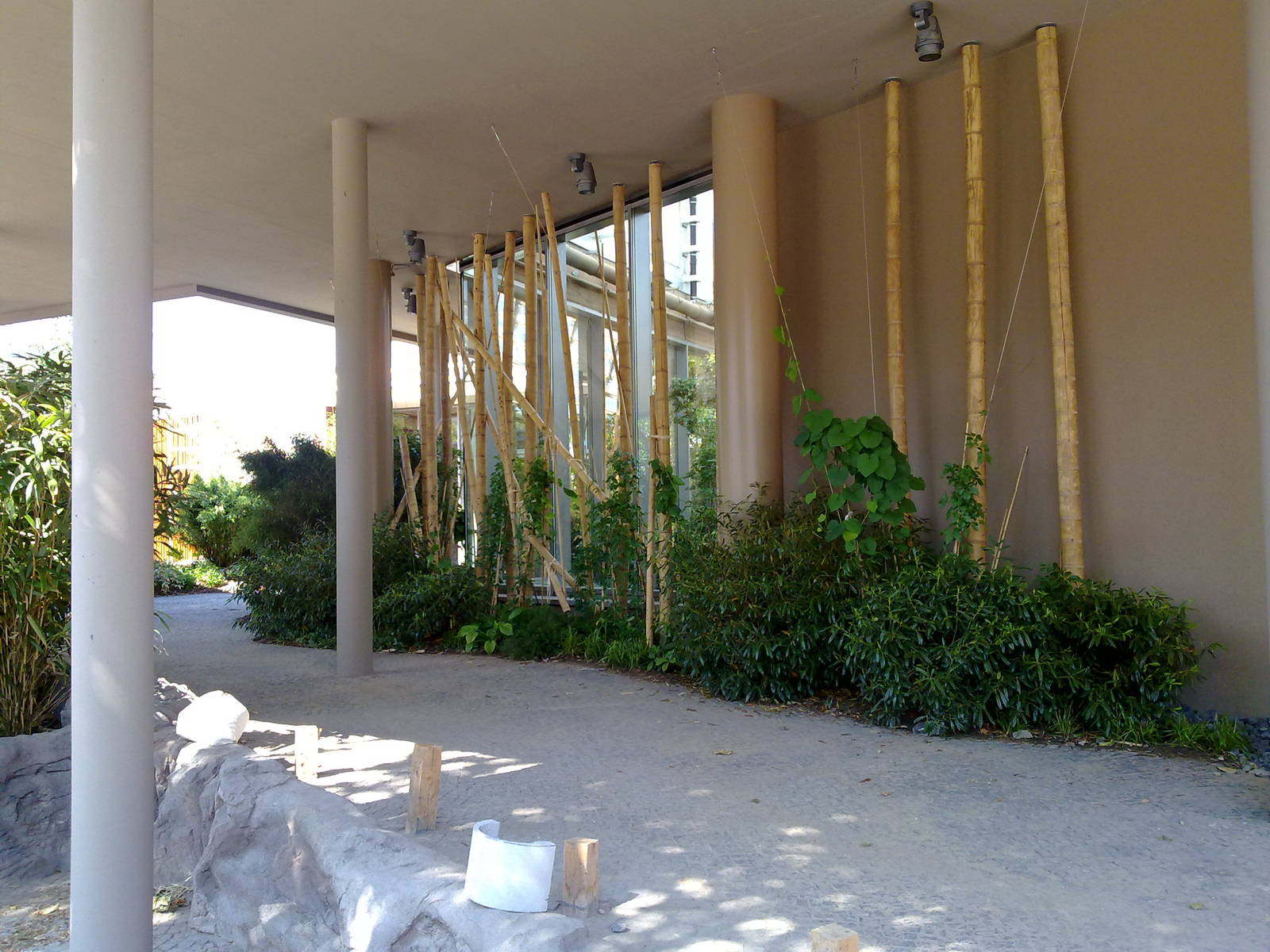 Restaurant and event entrance, Gondwanaland, June 2011