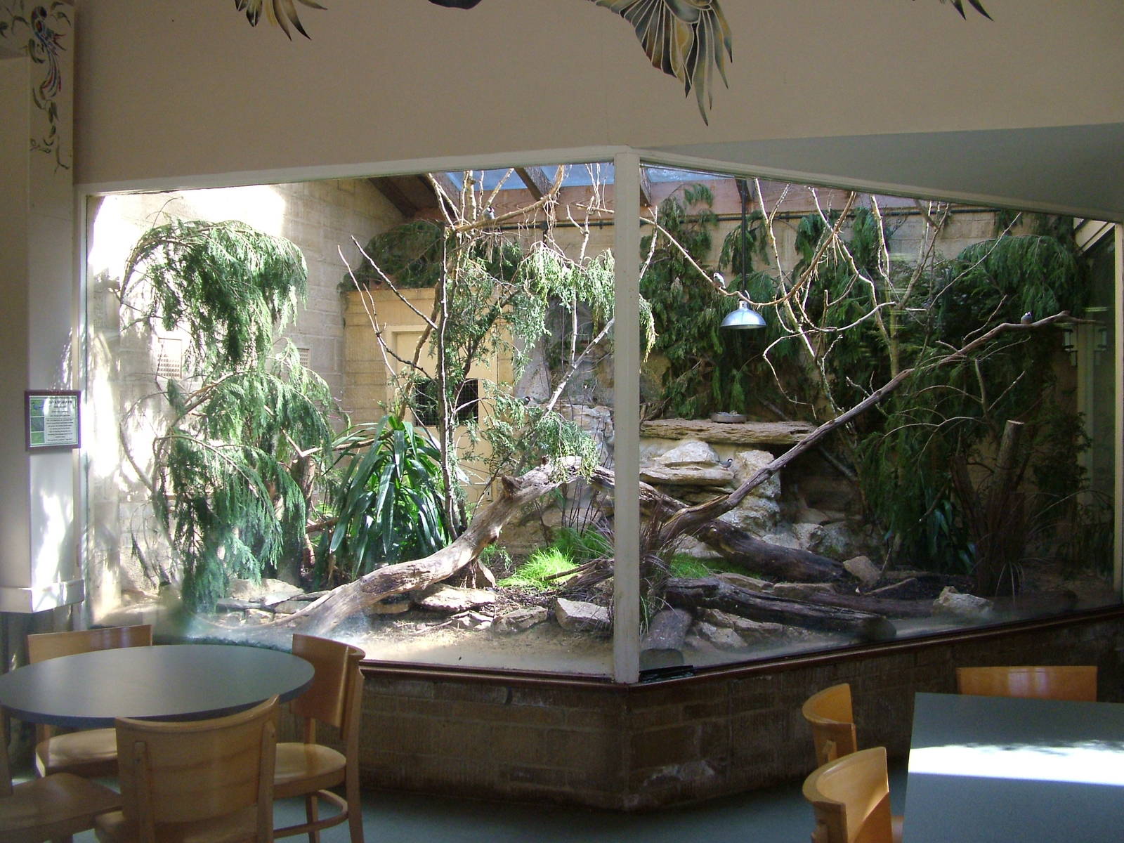 Restaurant animal exhibit at Cotswold WP 17/04/10