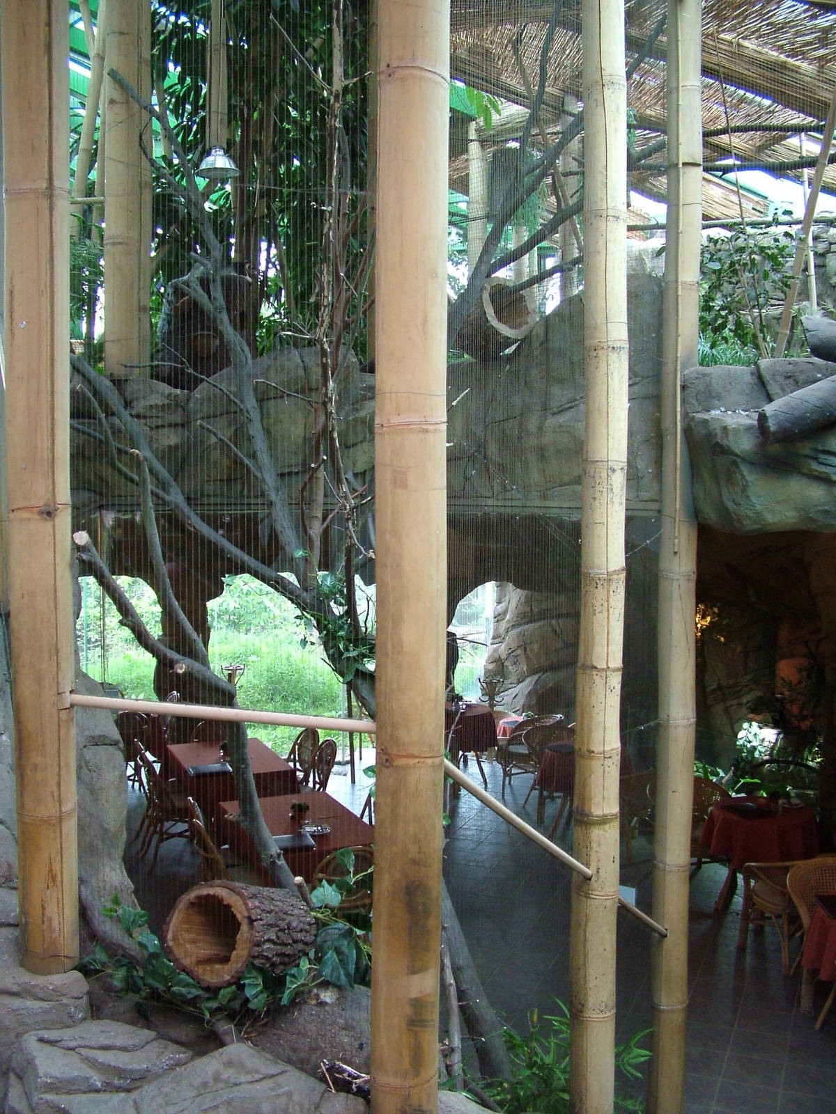 Restaurant at Brno, 27/05/10