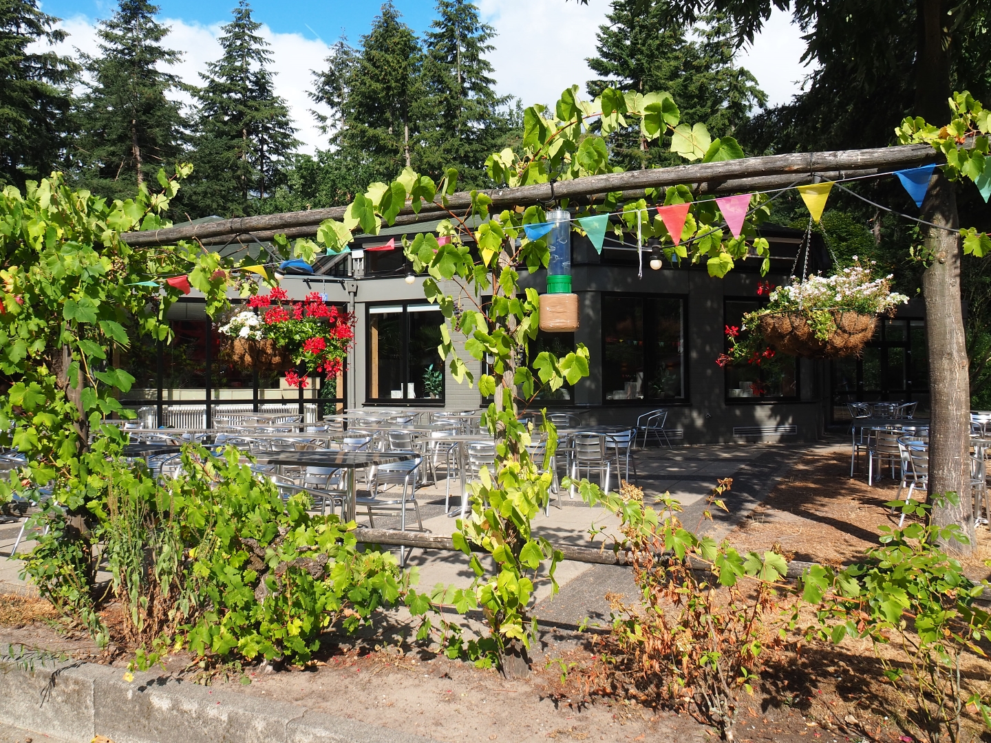 Restaurant building and terrace area