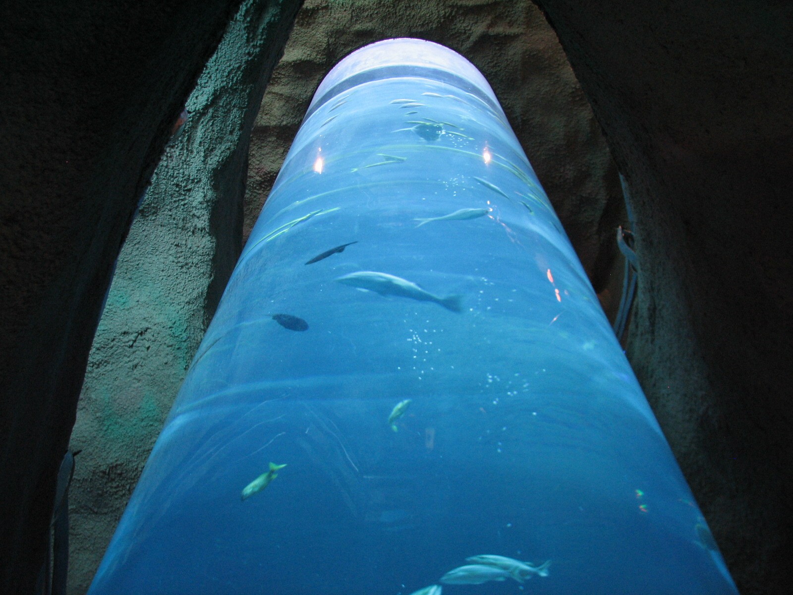 Restaurant Lobby - 3 Story Column Tank
