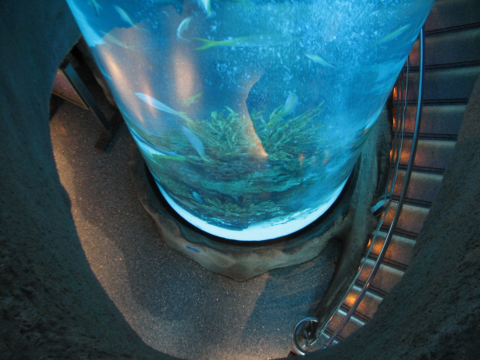 Restaurant Lobby - 3 Story Column Tank