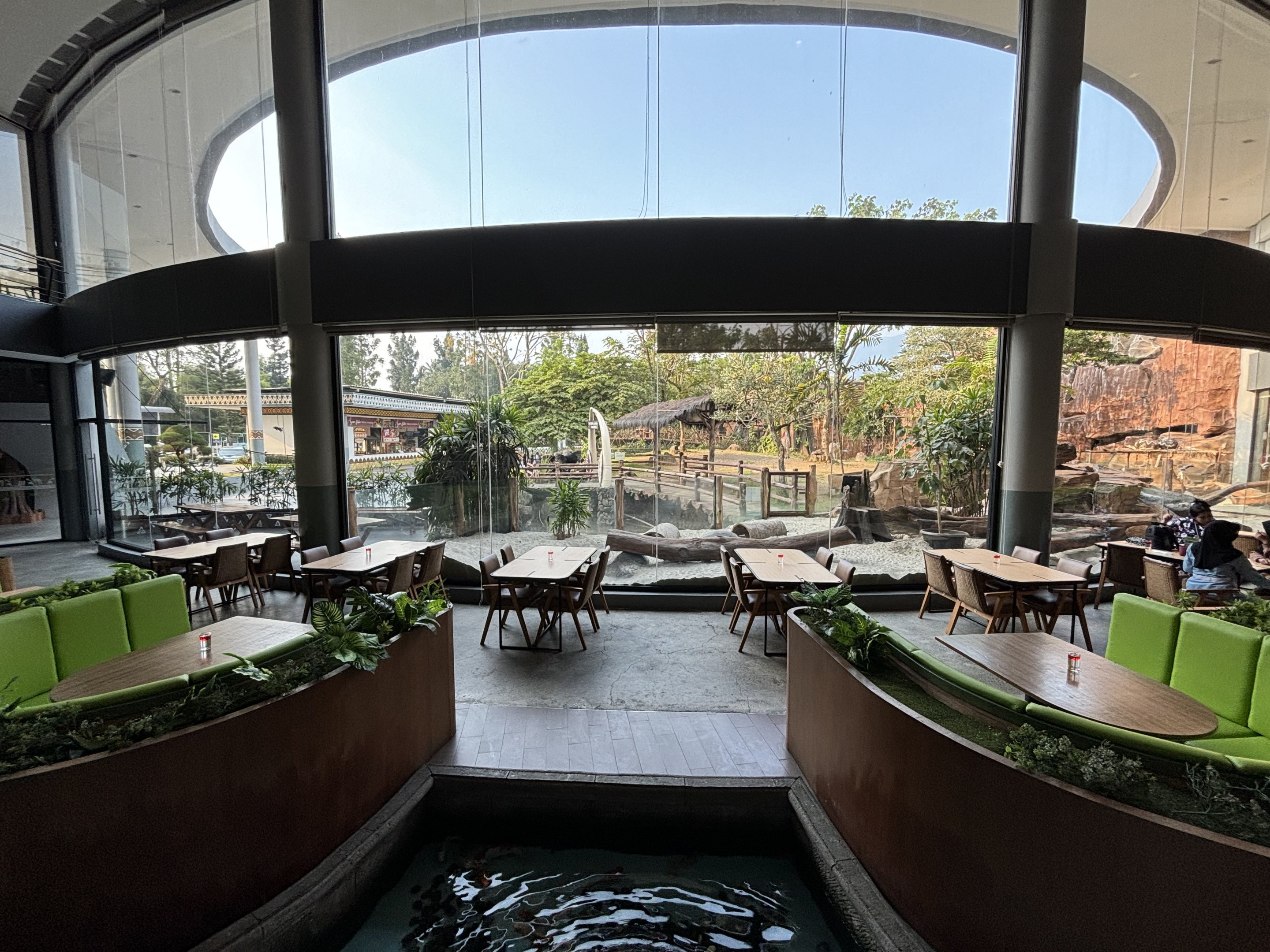 Restaurant + Plains Zebra Exhibit - Royal Safari Garden Resort