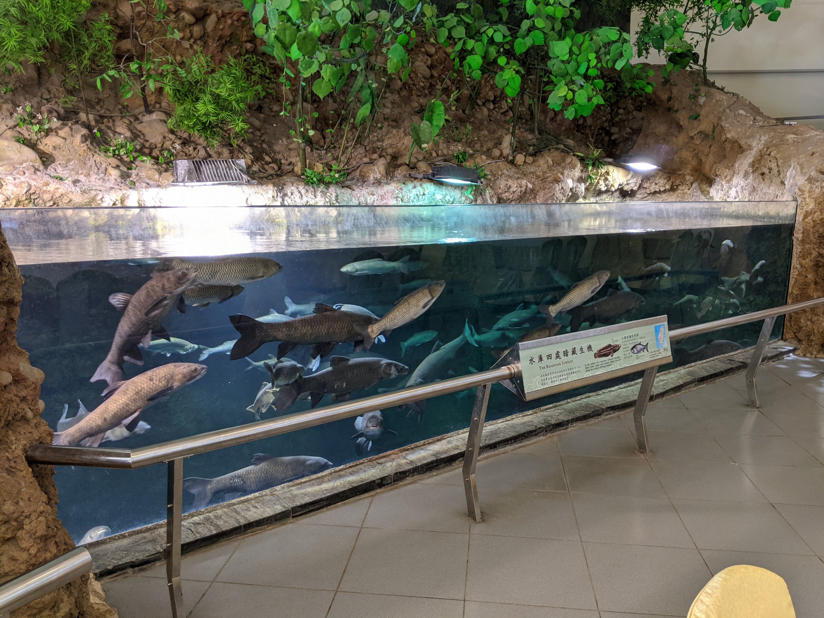 Restaurant tank