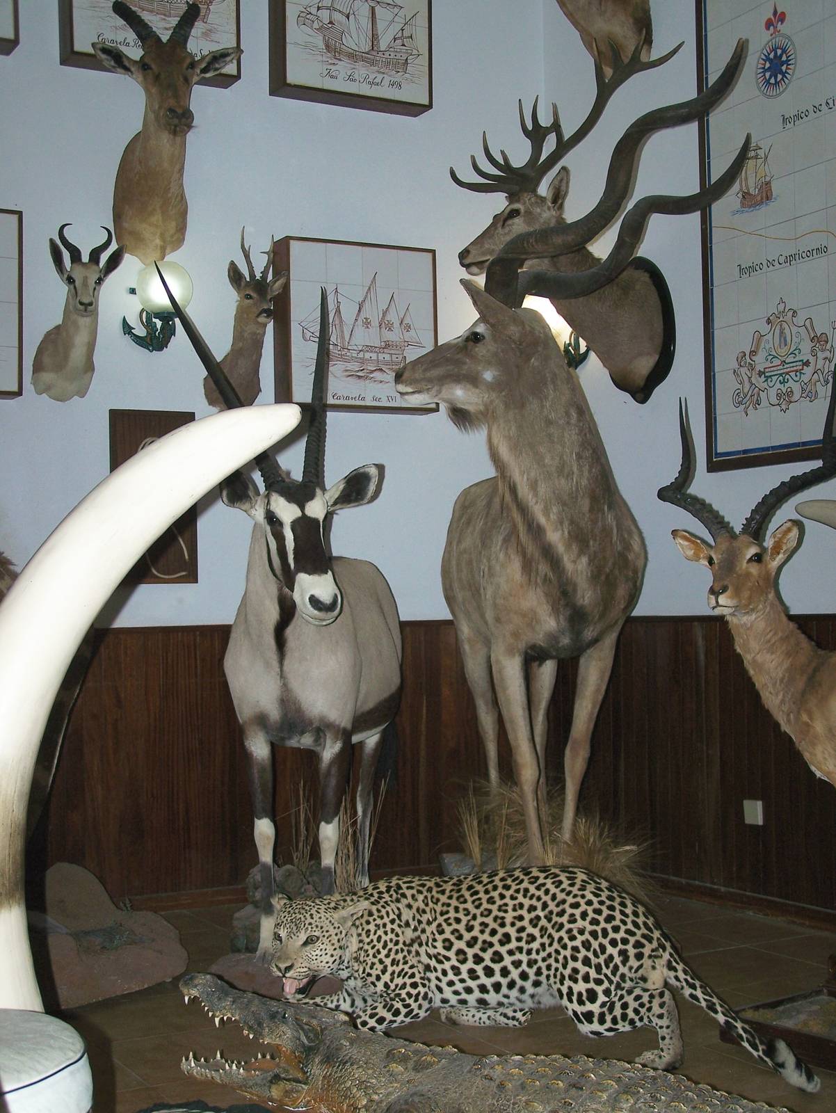 Restaurant taxidermy