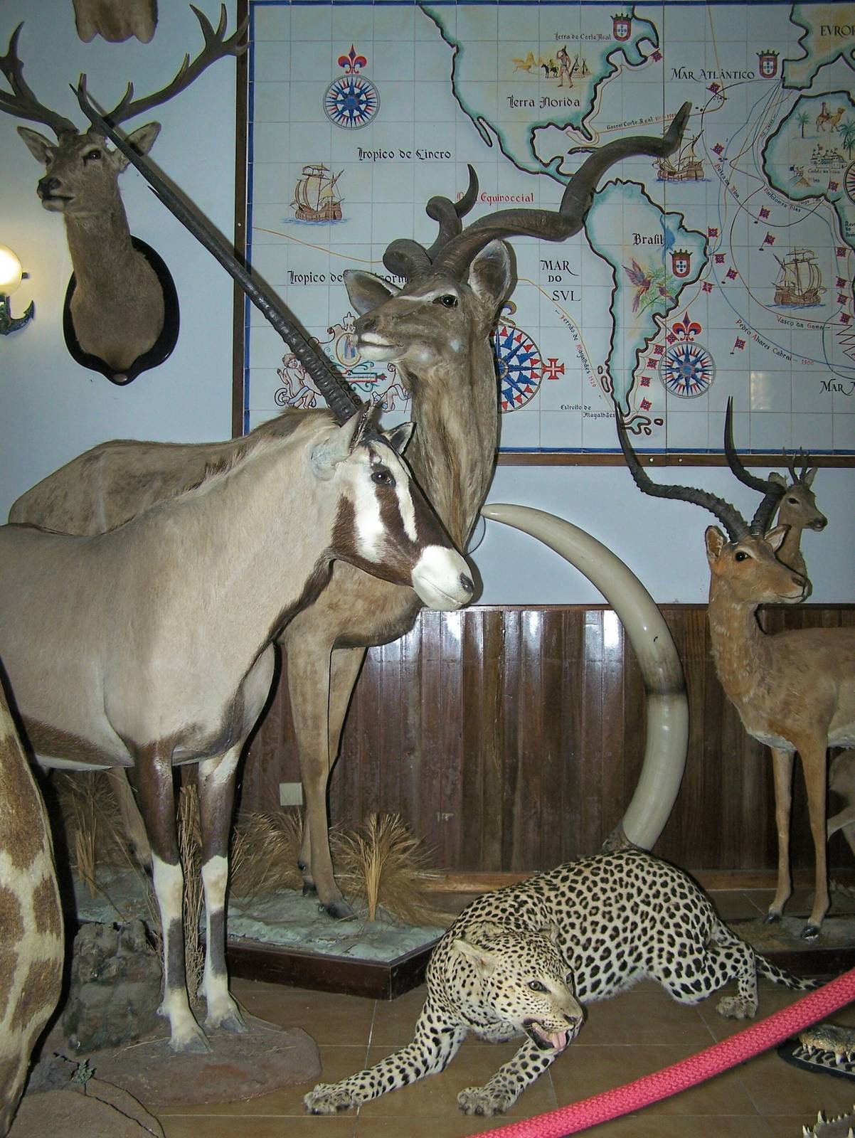Restaurant taxidermy